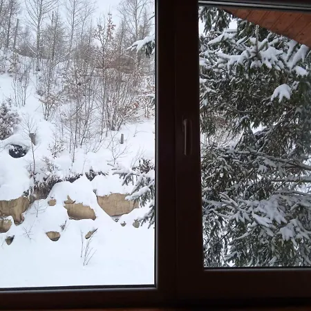 у василя Mykulychyn