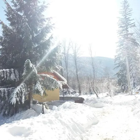 у василя Mykulychyn