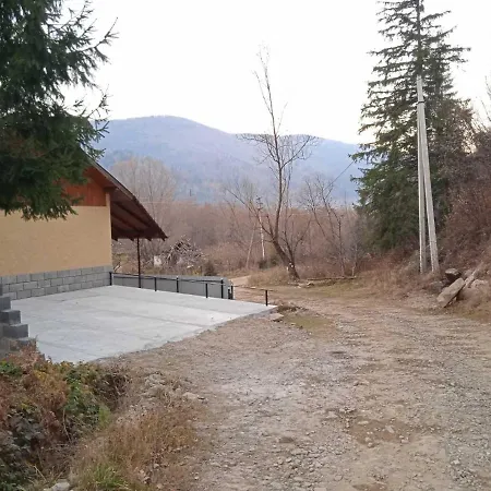 у василя * Mykulychyn