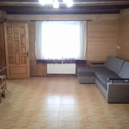 у василя Mykulychyn