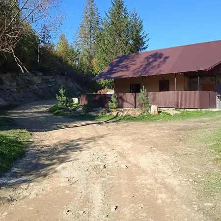 у василя Mykulychyn