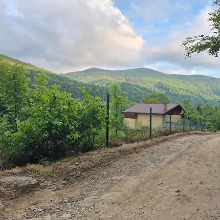у василя Casa de Férias Mykulychyn