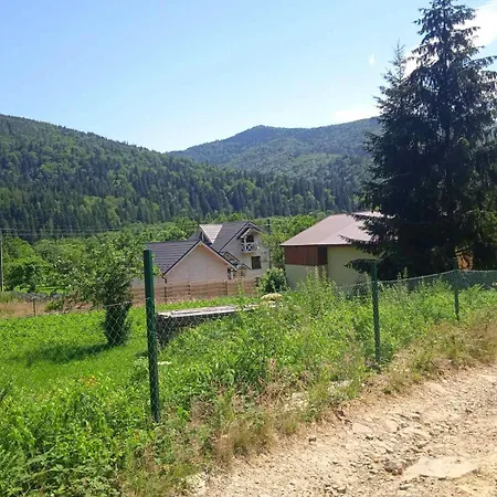 у василя * Mykulychyn