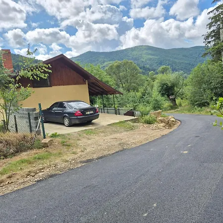у василя Holiday home Mykulychyn