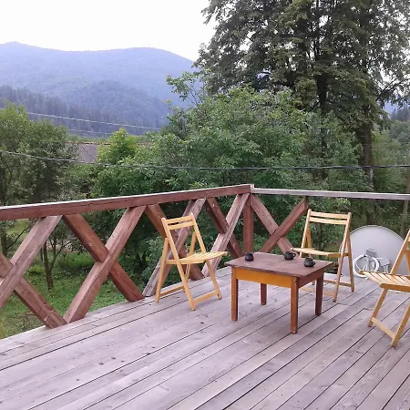 у василя Holiday home Mykulychyn