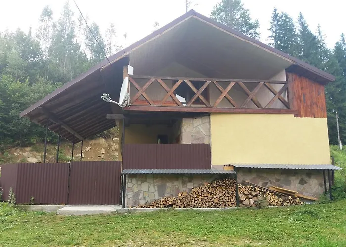 у василя