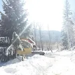 у василя Mykulychyn