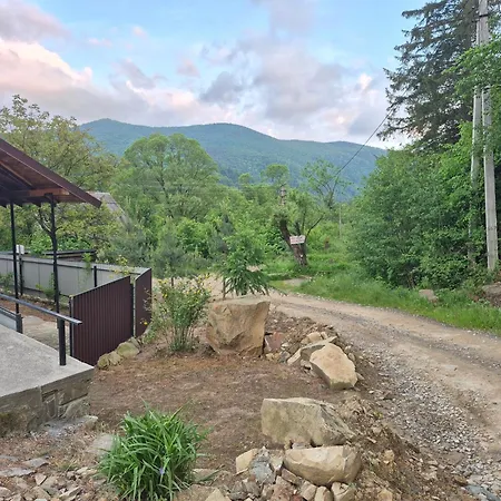 у василя Holiday home Mykulychyn