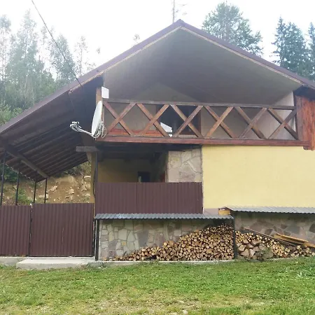 у василя