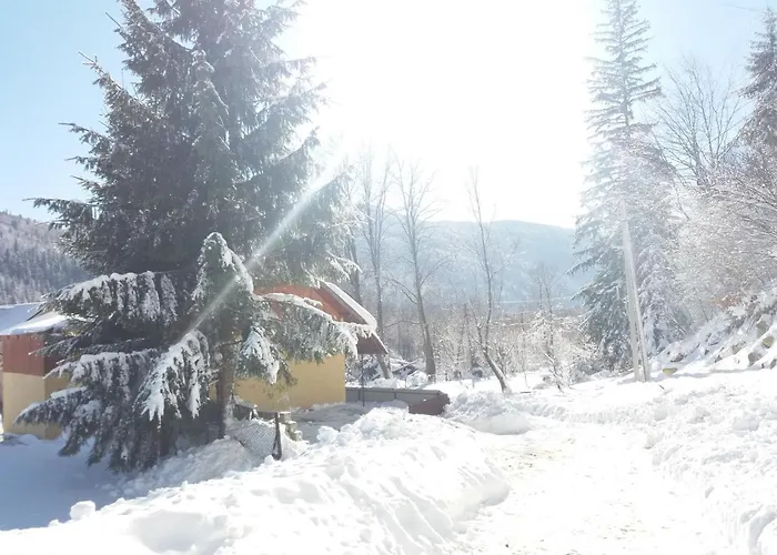у василя Mykulychyn