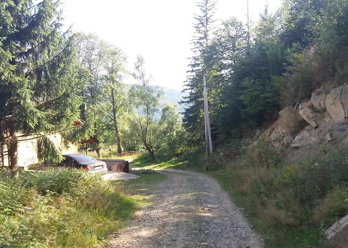 у василя *